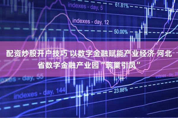配资炒股开户技巧 以数字金融赋能产业经济 河北省数字金融产业园“筑巢引凤”