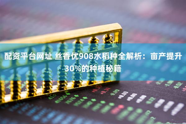 配资平台网址 丝香优908水稻种全解析：亩产提升30%的种植秘籍