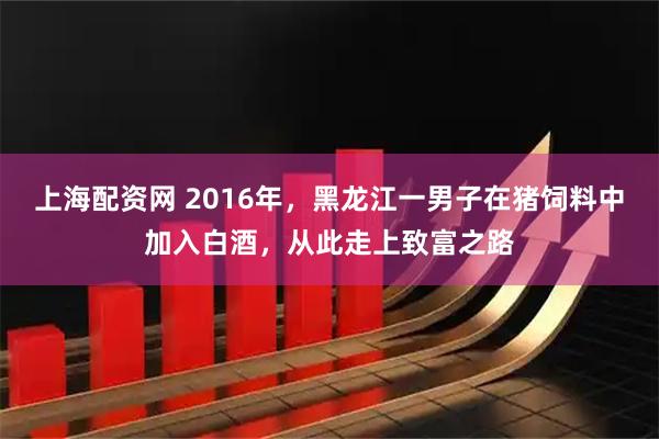 上海配资网 2016年，黑龙江一男子在猪饲料中加入白酒，从此走上致富之路